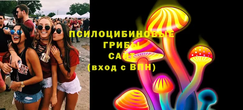 Галлюциногенные грибы Magic Shrooms  гидра сайт  Канаш 